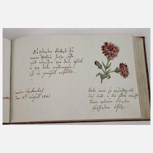 Kleines Stammbuch-Album Amicorum