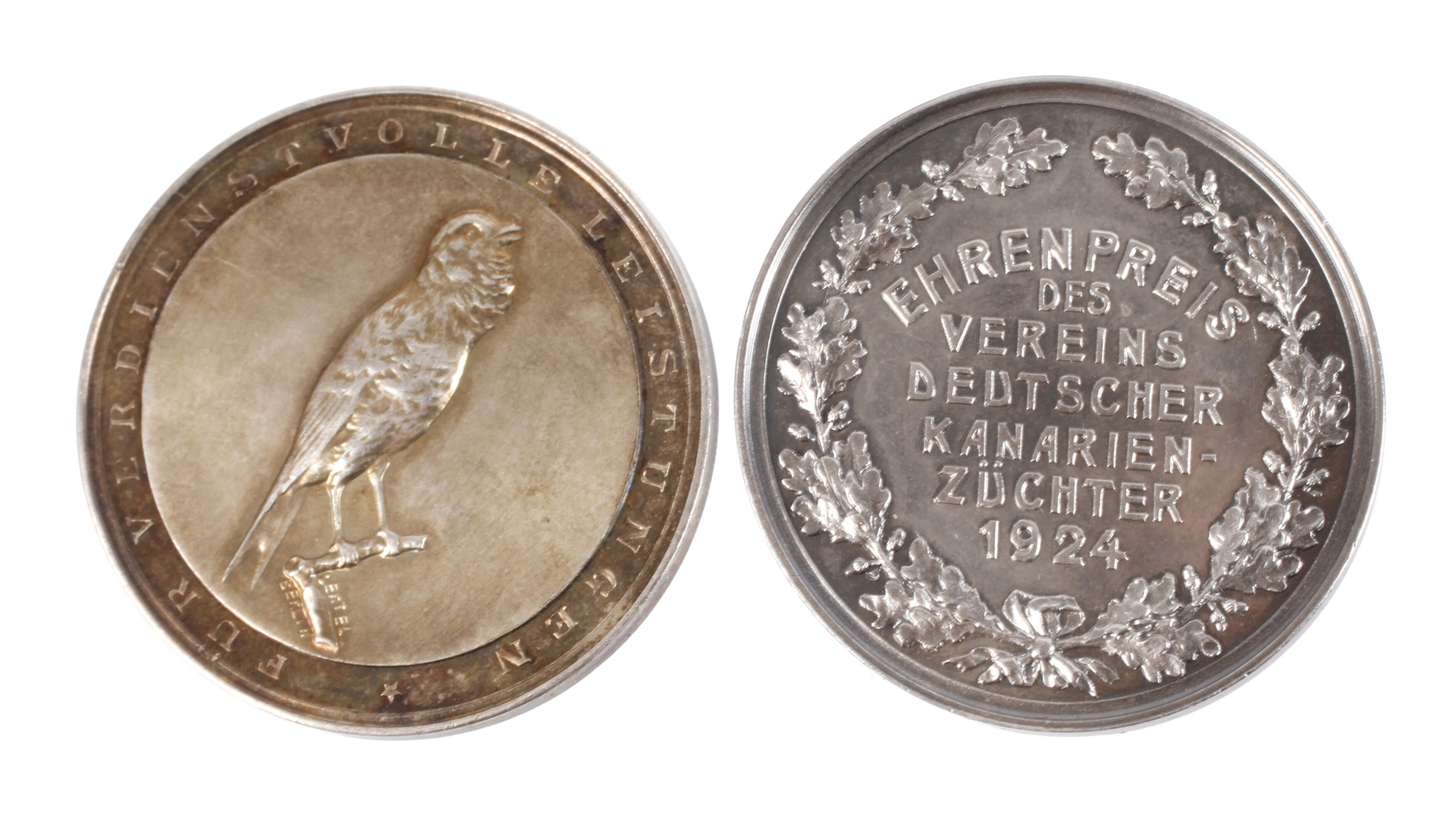 Zwei Silbermedaillen Kanarienzucht