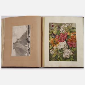 Zwei Scrap-Book-Alben England