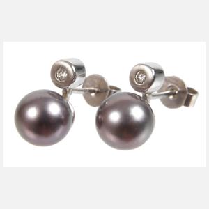 Paar Ohrstecker mit Tahitiperlen