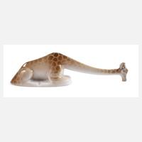 Rosenthal Miniatur Giraffe111