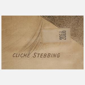 Großes Plakat Cigale Delmares