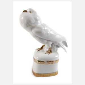 Heinrich & Co. Selb große Kropftaube Fritz Klee