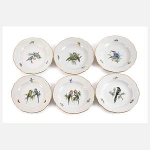 Meissen sechs Speiseteller Vogelmalerei