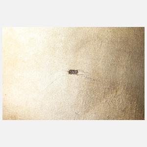 Zigarettenetui Historismus