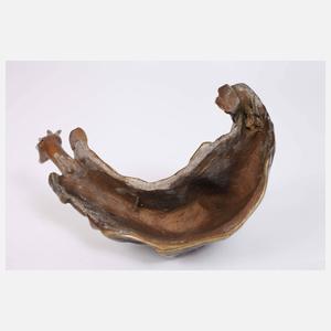 Wiener Bronze Charles Darwin