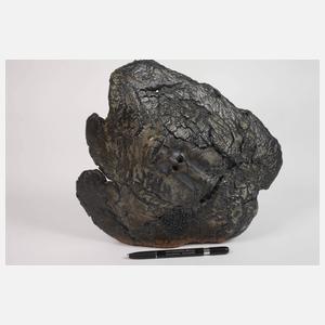 Dr. Peter Kobbe, Keramikobjekt Kopf