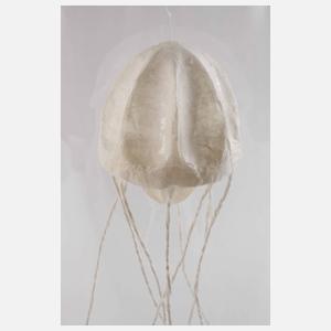 Sophie Casado, Qualle im Glassturz