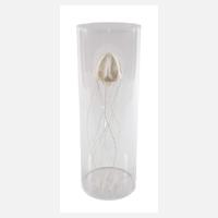 Sophie Casado, Qualle im Glassturz111