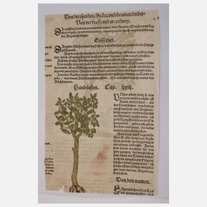 Hieronymus Bock, Sammlung Pflanzendarstellungen