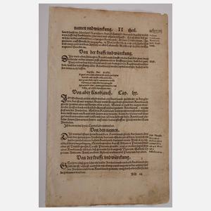 Hieronymus Bock, Sammlung Pflanzendarstellungen