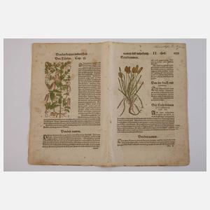 Hieronymus Bock, Sammlung Pflanzendarstellungen