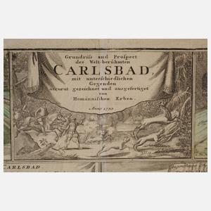 Homanns Erben, Ansichten von Karlsbad