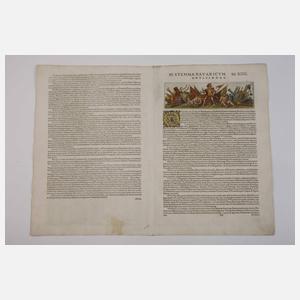 Stammbaum der Wittelsbacher