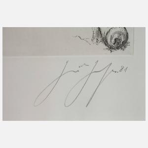 Günter Grass, "Verrutschtes Symbol"