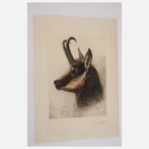 Kurt Meyer-Eberhardt, Gamskopf