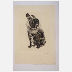 Kurt Meyer-Eberhardt, Paar Hundedarstellungen