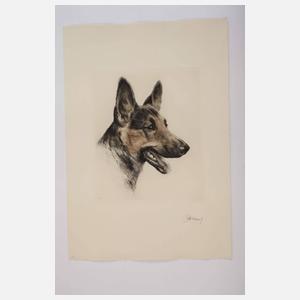 Kurt Meyer-Eberhardt, Paar Hundedarstellungen