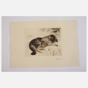 Kurt Meyer-Eberhardt, Kätzchen mit Fliege