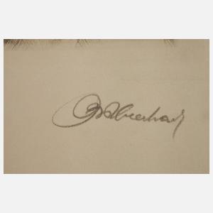 Kurt Meyer-Eberhardt, Kätzchen mit Fliege