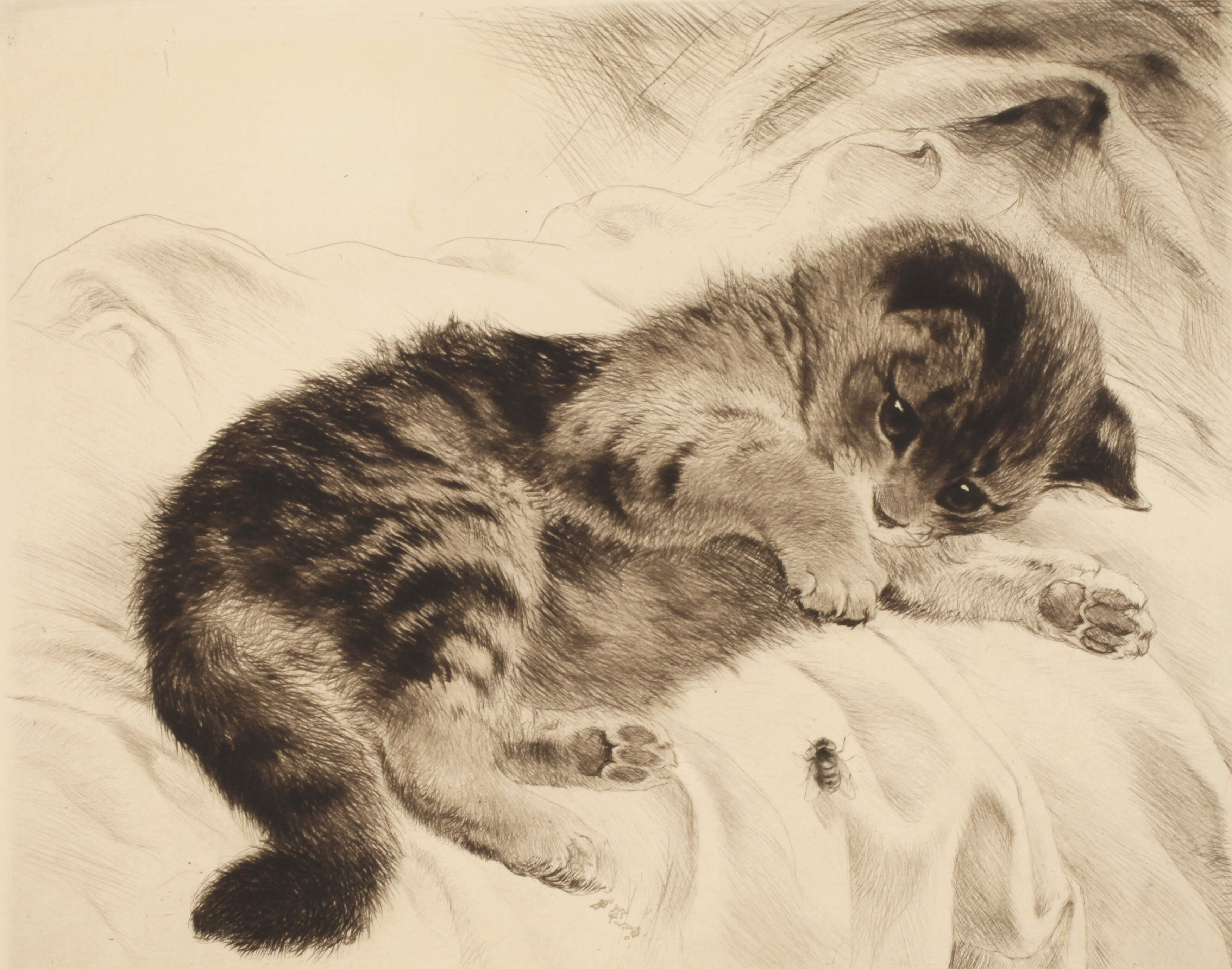 Kurt Meyer-Eberhardt, Kätzchen mit Fliege