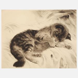 Kurt Meyer-Eberhardt, Kätzchen mit Fliege