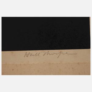 John Hall Thorpe, Kapuzinerkresse