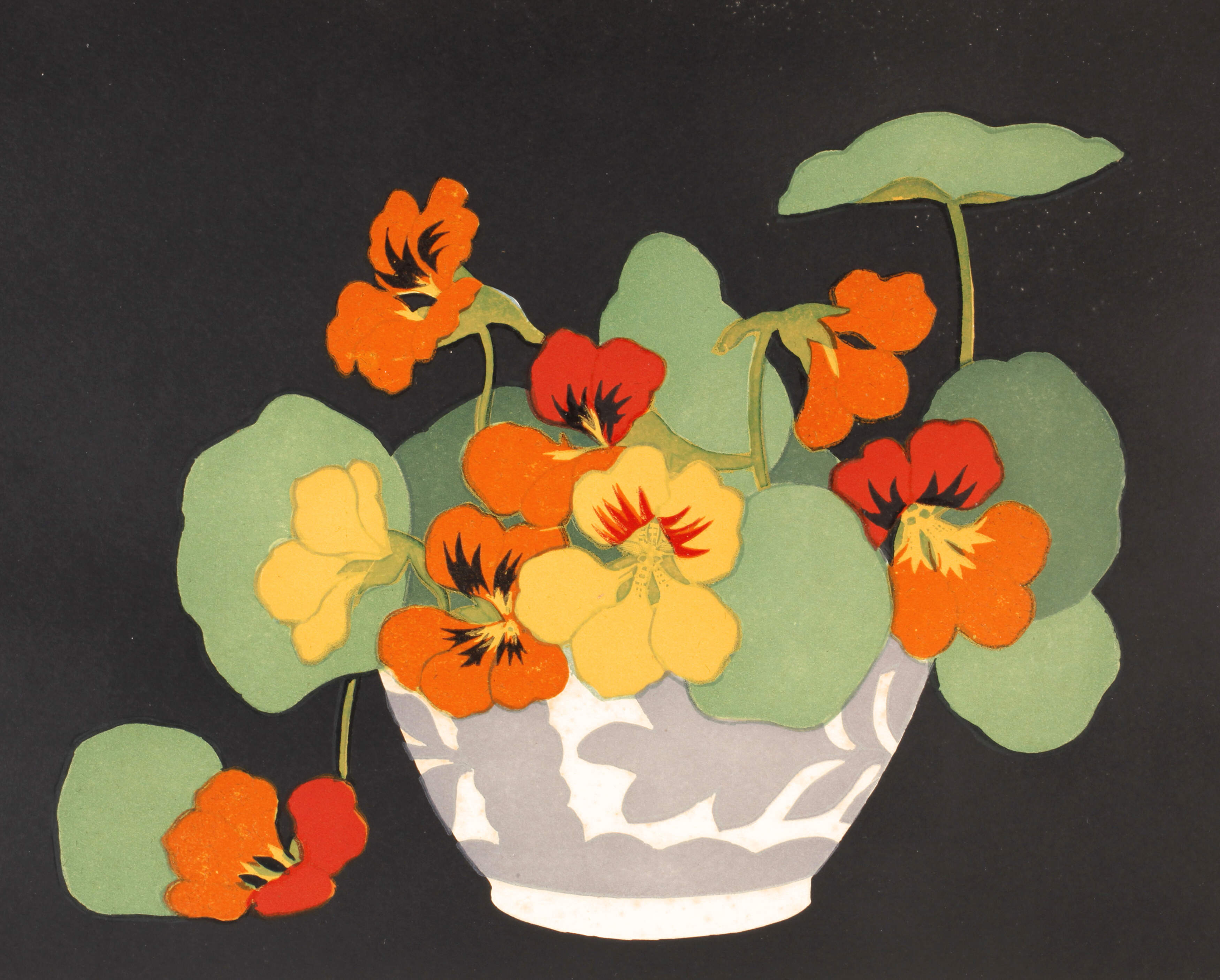 John Hall Thorpe, Kapuzinerkresse