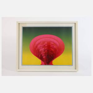 Rudolf Hausner, "Adam explosiv"