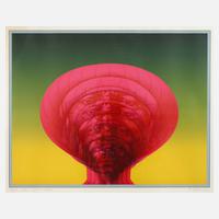 Rudolf Hausner, "Adam explosiv"111