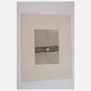 Jiří John, "Kristall-Gesteinsblüte"