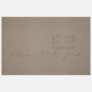 Jiří John, "Kristall-Gesteinsblüte"