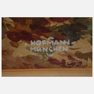 Hofmann, Brücke im Nymphenburger Park