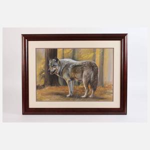 Christiane Vleugels, Spähender Wolf