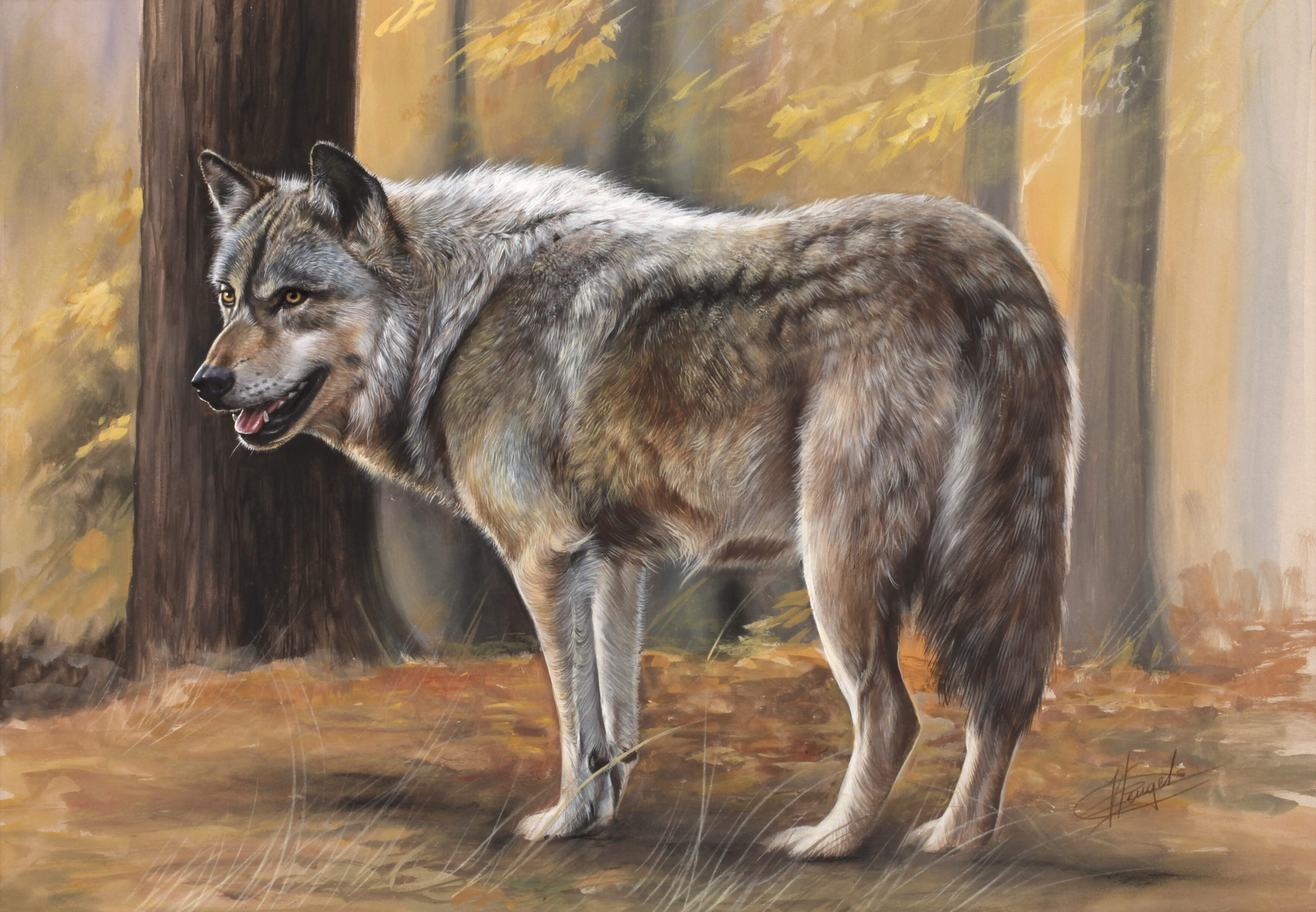 Christiane Vleugels, Spähender Wolf