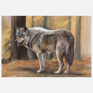 Christiane Vleugels, Spähender Wolf