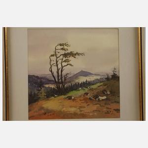 Willy Becker, Paar Erzgebirgsansichten