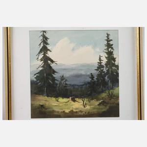 Willy Becker, Paar Erzgebirgsansichten