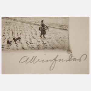 Albin Enders, Rathaus von Plauen