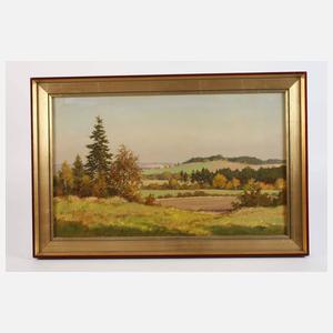 Siegfried Haufe, Vogtlandsommer