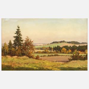 Siegfried Haufe, Vogtlandsommer