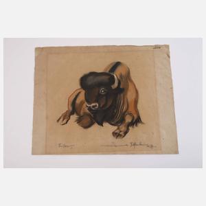 Walter Helfenbein, "Bison"