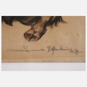 Walter Helfenbein, "Bison"