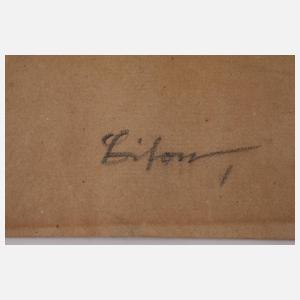 Walter Helfenbein, "Bison"