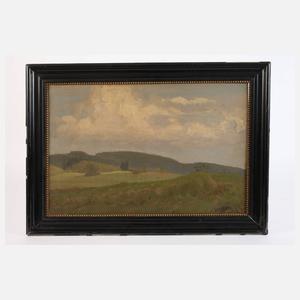 Richard Sachs, Sommerlicher Wiesenrain