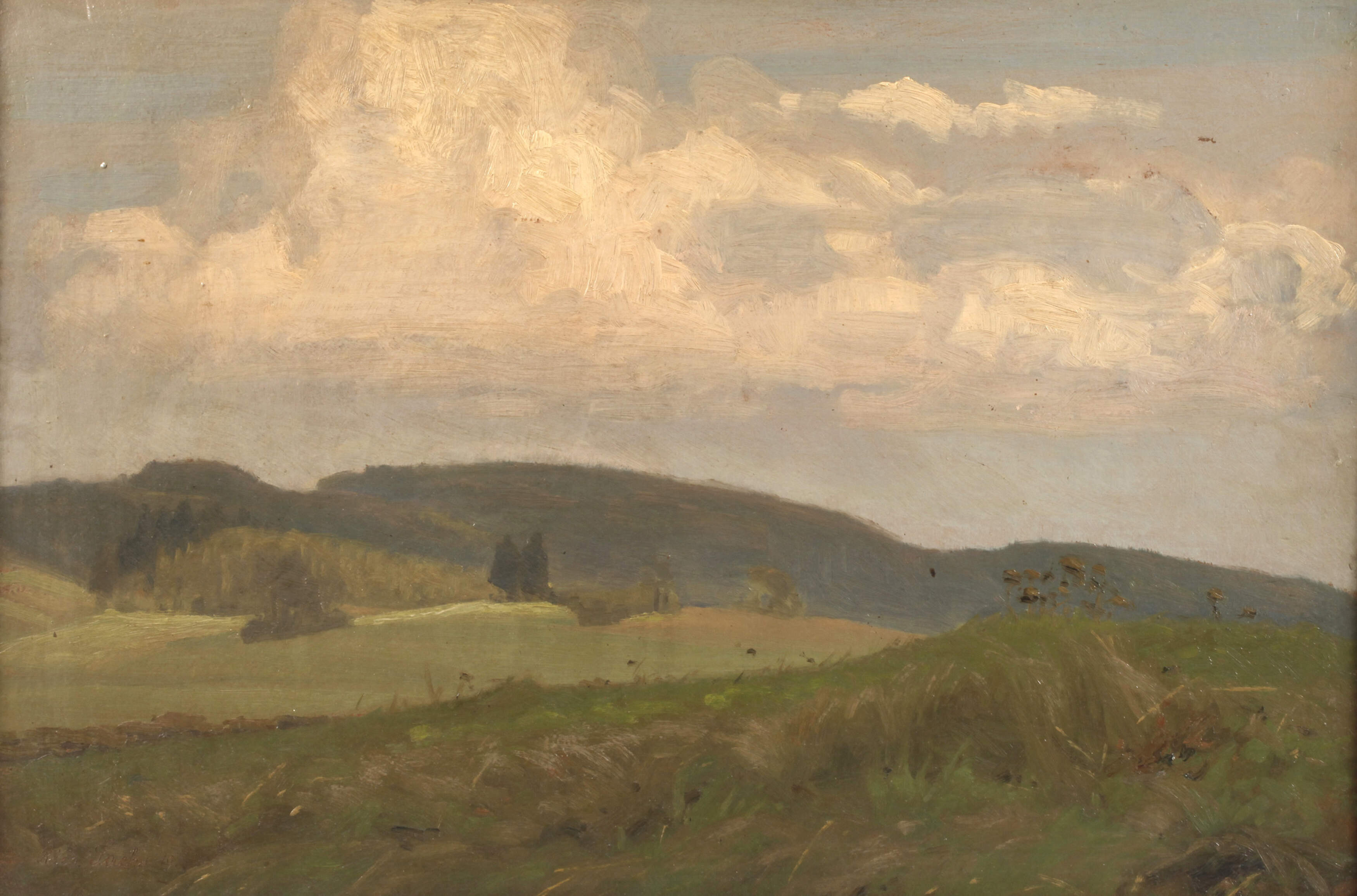 Richard Sachs, Sommerlicher Wiesenrain