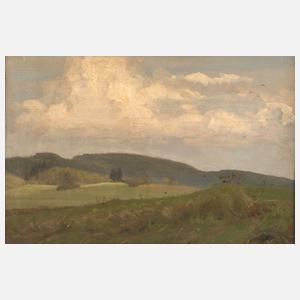 Richard Sachs, Sommerlicher Wiesenrain