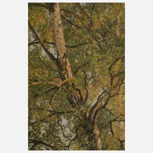 Friedrich Rudolf Zenker, Partie in Schwarzenreuth