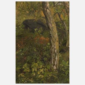 Friedrich Rudolf Zenker, Partie in Schwarzenreuth