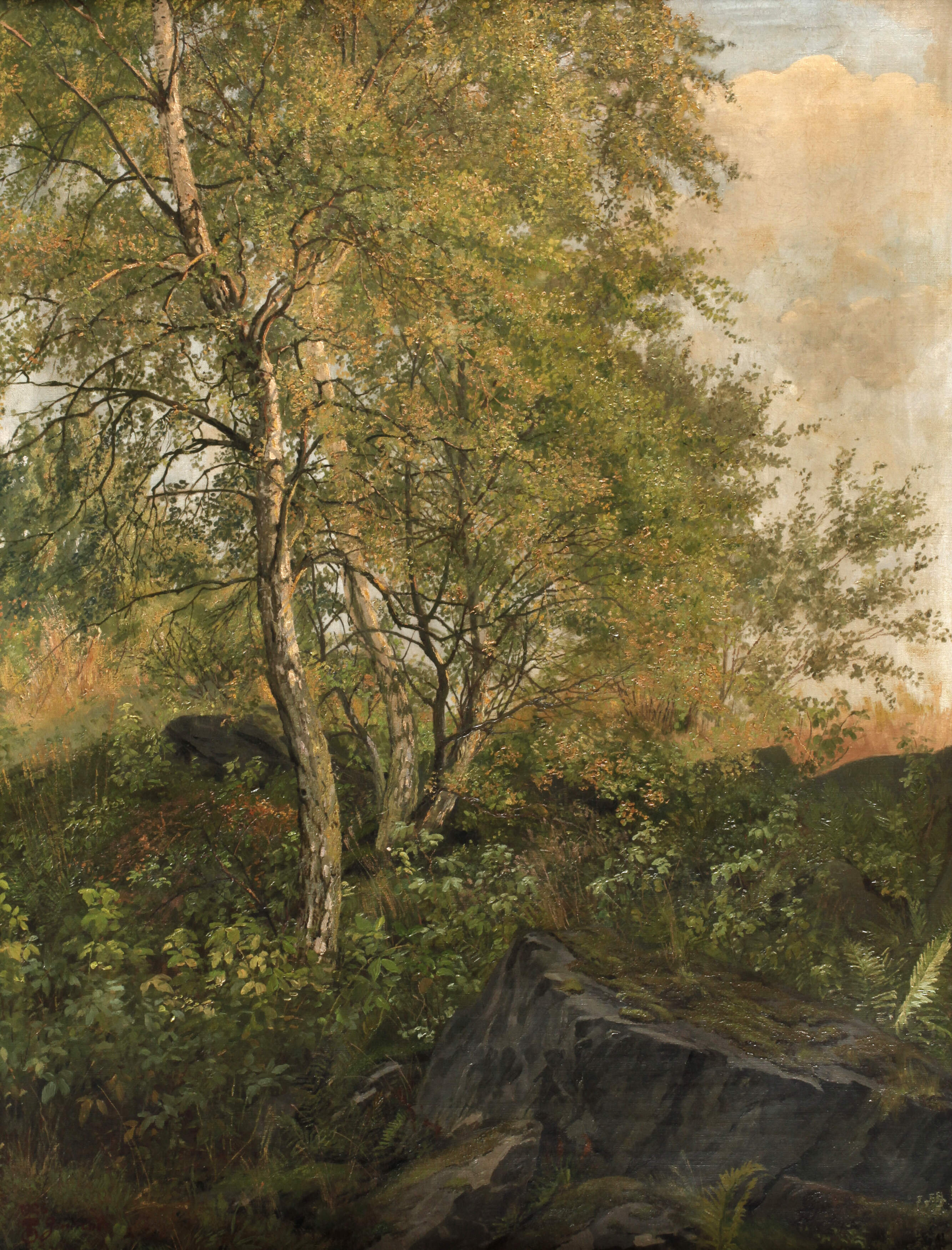 Friedrich Rudolf Zenker, Partie in Schwarzenreuth